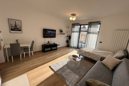 apartmani beograd centar apartman new dorcol lux4