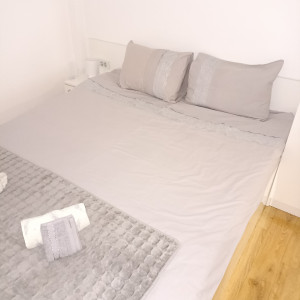 apartmani beograd centar apartman apartman saska 311