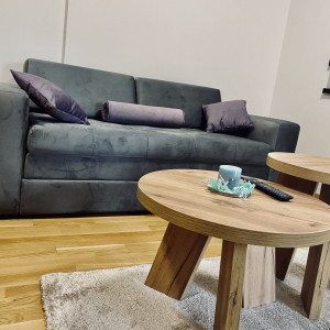 apartments zlatibor okolno mesto apartment mms apartman zlatibor4