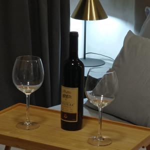 apartmani beograd vracar apartman kaluma 85