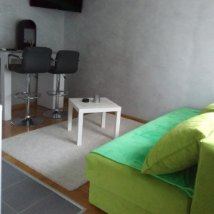 apartments novi sad telep apartment ivana ns3