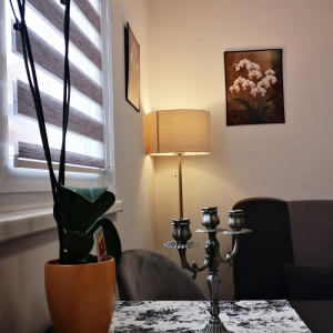 apartments beograd rakovica apartment nika star