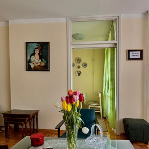 apartmani beograd novi beograd apartman boka16
