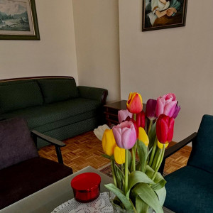 apartmani beograd novi beograd apartman boka7