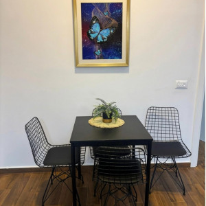 apartmani beograd zemun apartman amar 22