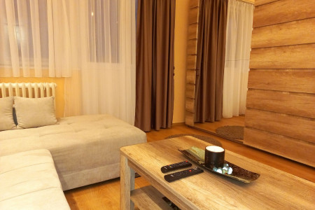 apartments beograd centar apartment apartman saska 429