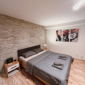Studio Apartment Ateja Belgrade Vracar