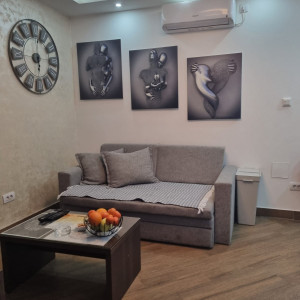 apartmani beograd zvezdara apartman artistico3