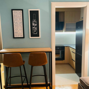 apartmani beograd centar apartman penthouse novi beograd djakuzi