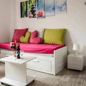 Kakav tip smeštaja su sobe za prenoćište Beograd?