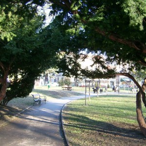 Stan na dan u blizini Naselja Crveni Krst - pregled ponude