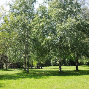 Stan na dan u blizini gradske bolnice