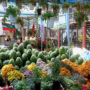 Apartmani u blizini Cvetkove pijace