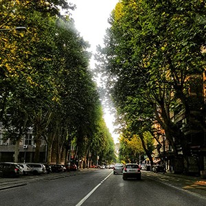 Apartmani u blizini 27. marta