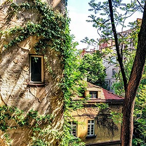 Stan na dan u blizini Majke Jevrosime