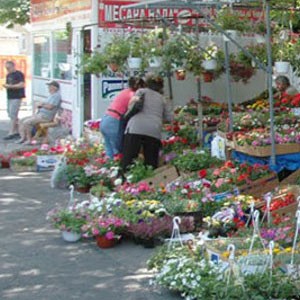 Stan na dan u blizini Cvetkove pijace 