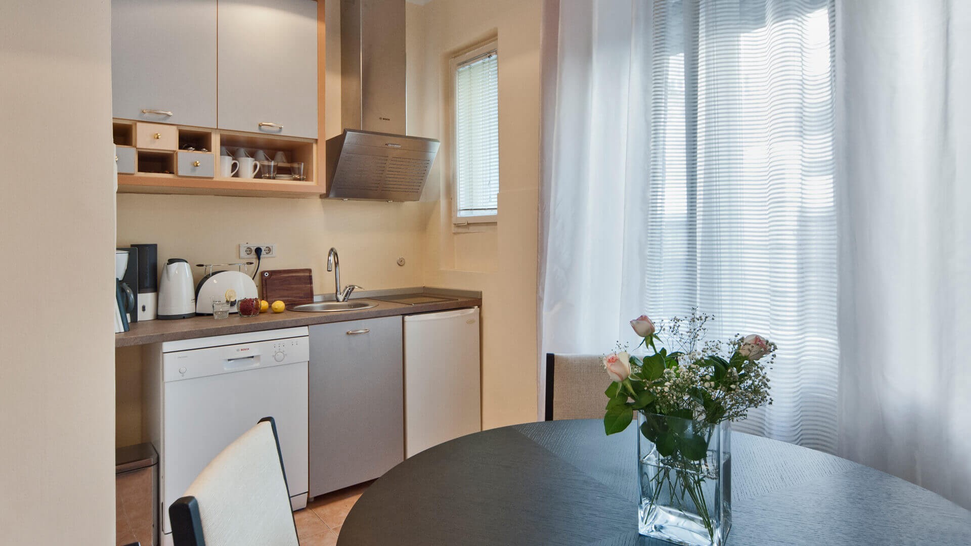 Apartman centar A17 Kuhinja