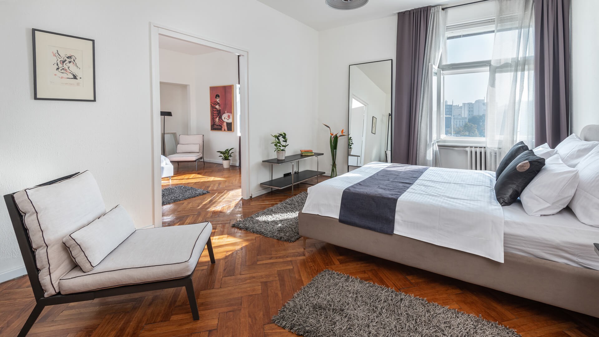 Apartman A23 - Pogled na Skupštinu