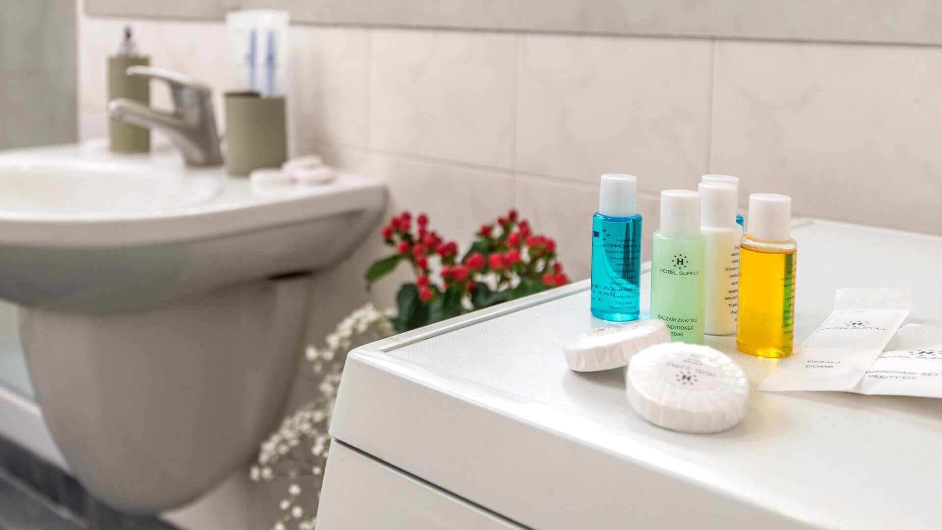 Smeštaj A27 Dorćol