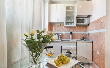 Apartman A1 Kuhinja u stanu