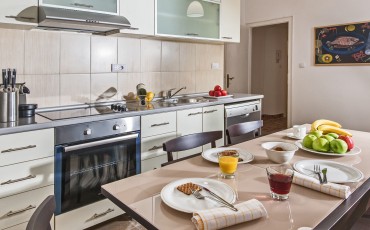 Apartman A50 stan u centru