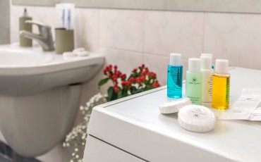 Apartman na dan A27 Skadarlija