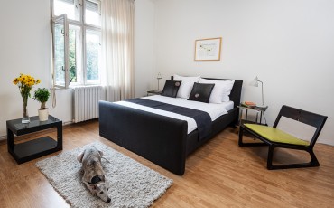 Apartman A24 - Stan na Dorćolu