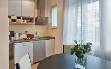 Jeftin apartman A17 Kuhinja
