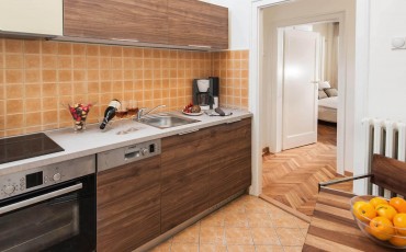 Luksuzni apartman A28 Kuhinja