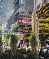 Ručak u Skadarliji uz dobro vino i pesmu