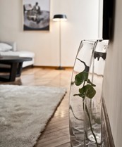 Luksuzni apartmani u uskom krugu strogog centra. Uživajte