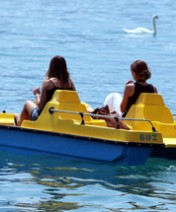 Ada Ciganlija zabava