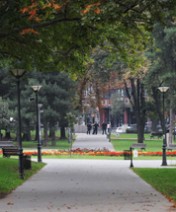 Manjez - Apartmani Beograd Centar