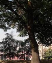 apartmani-beograd-terazijska-terasa