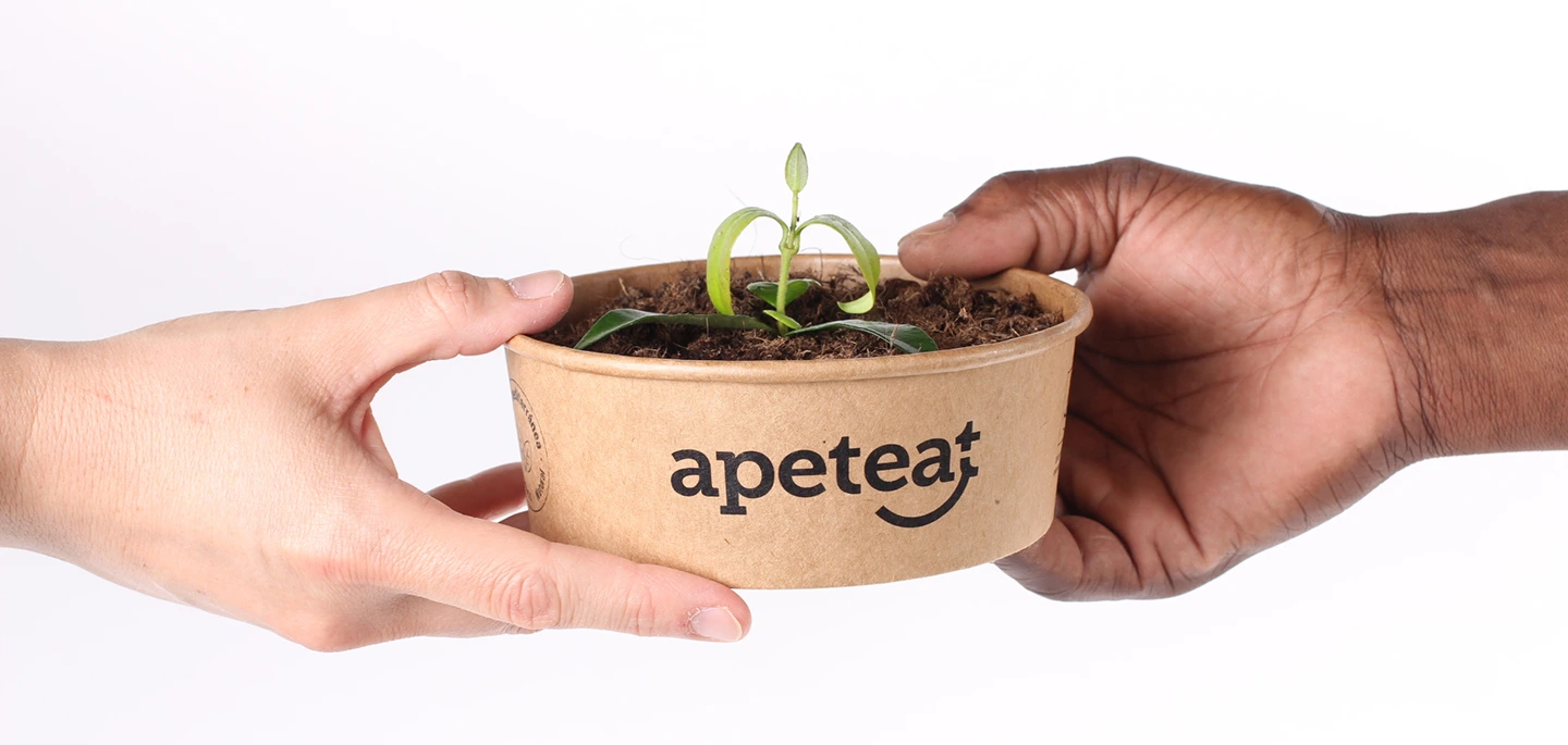 Packaging 100% ecológico