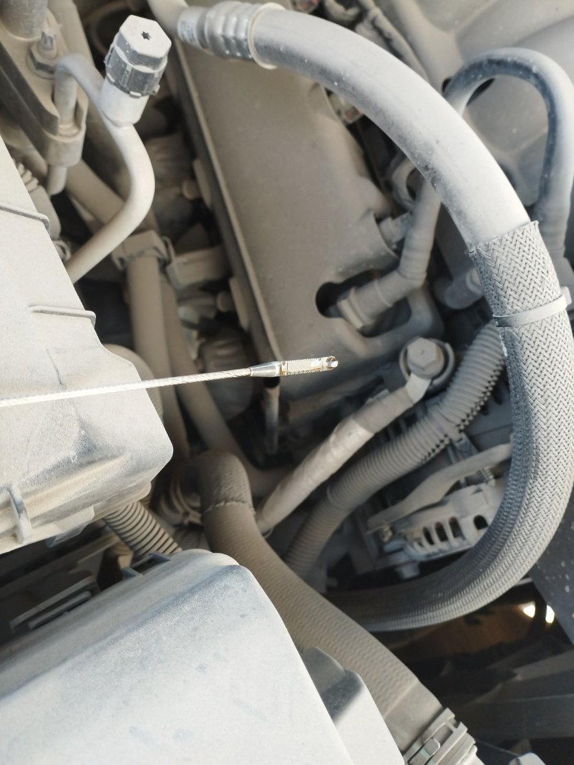 Chevrolet  Tahoe LS 2022 image