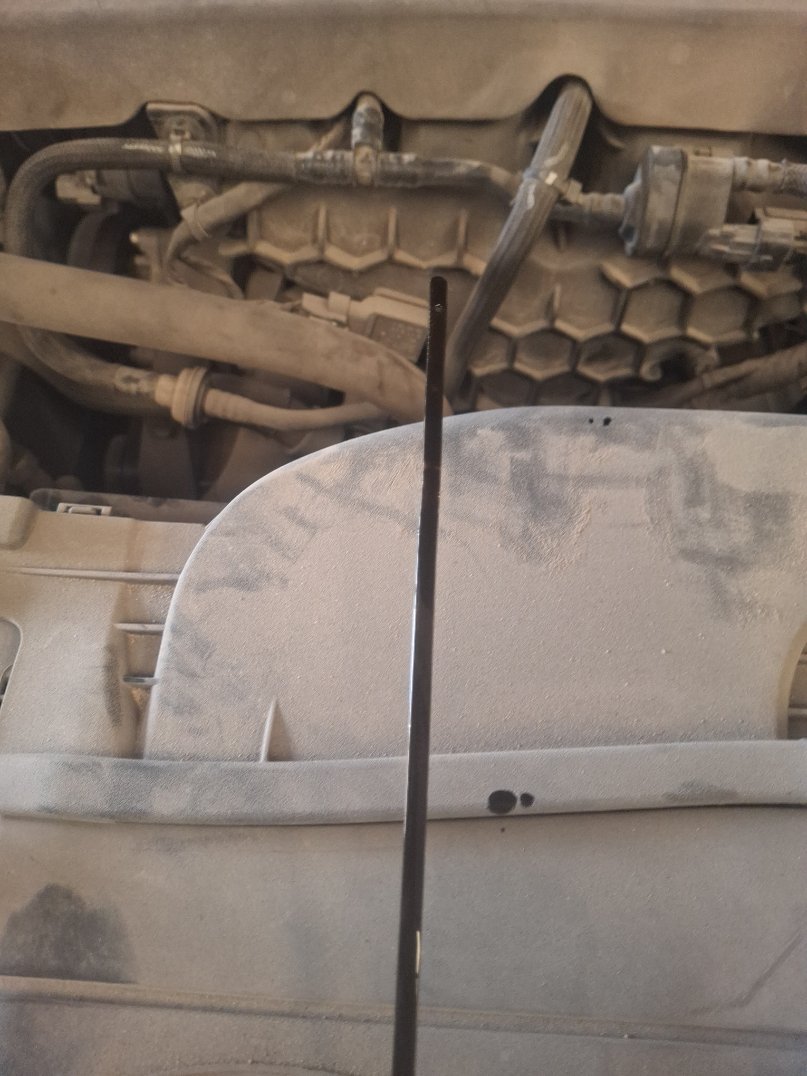 Ford Taurus  2023 image