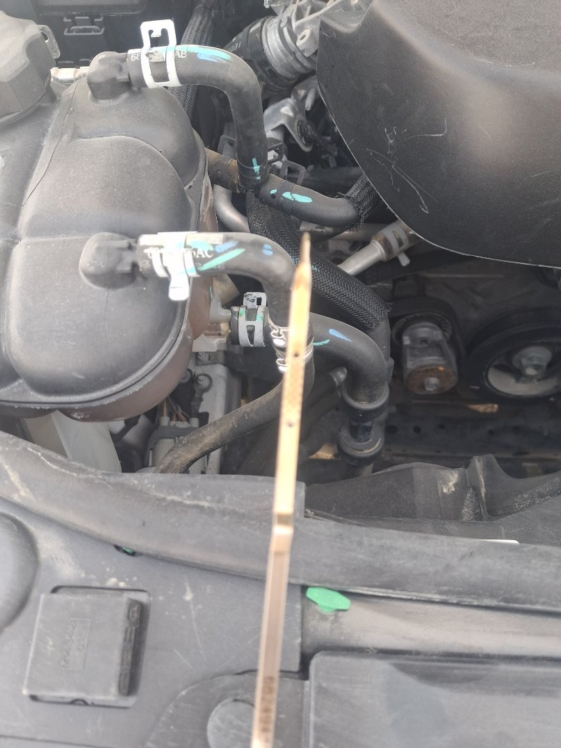 دودج دورانجو  2021 image