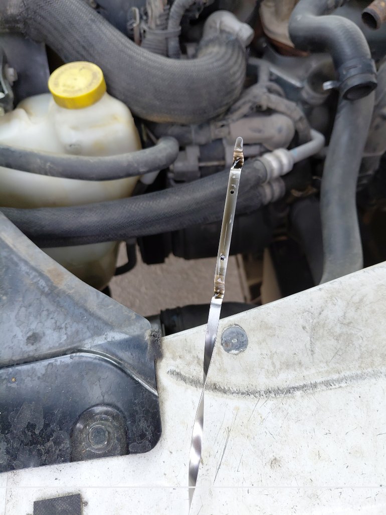 Nissan Urvan  2019 image