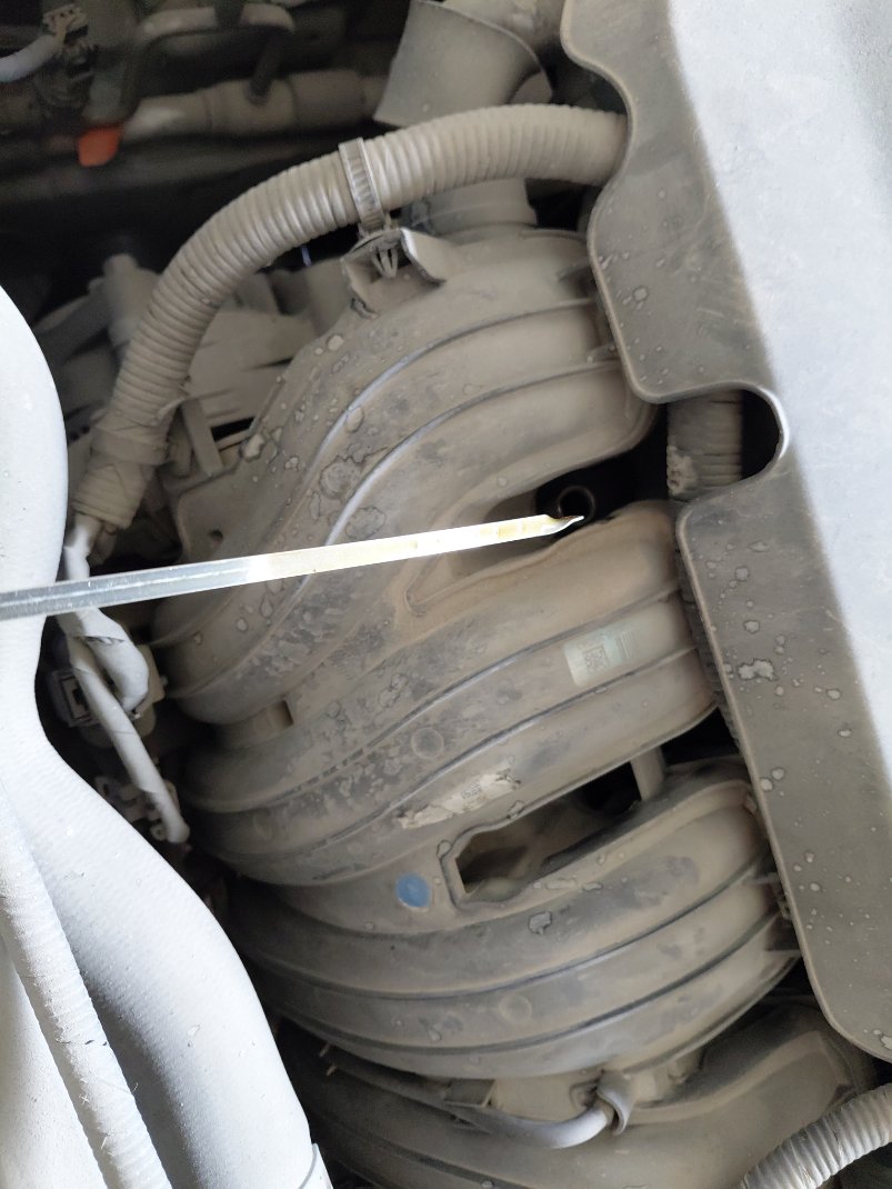 KIA Sportage QLE LX 4WD 2022 image