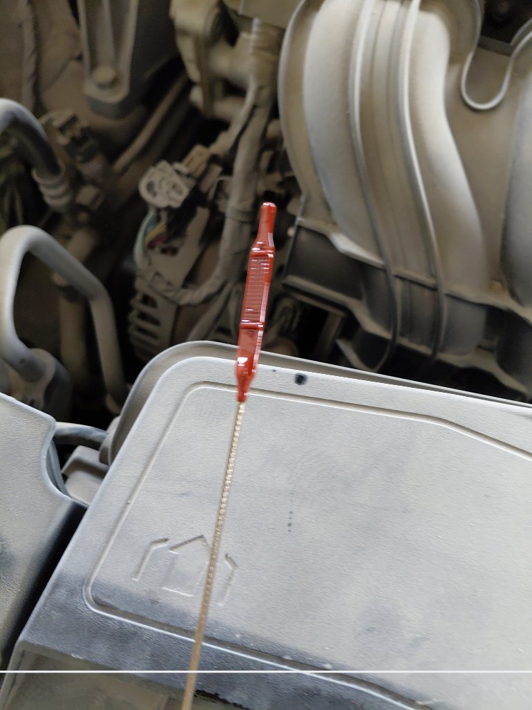 KIA K5 DL3 - LX FWD 2021 image