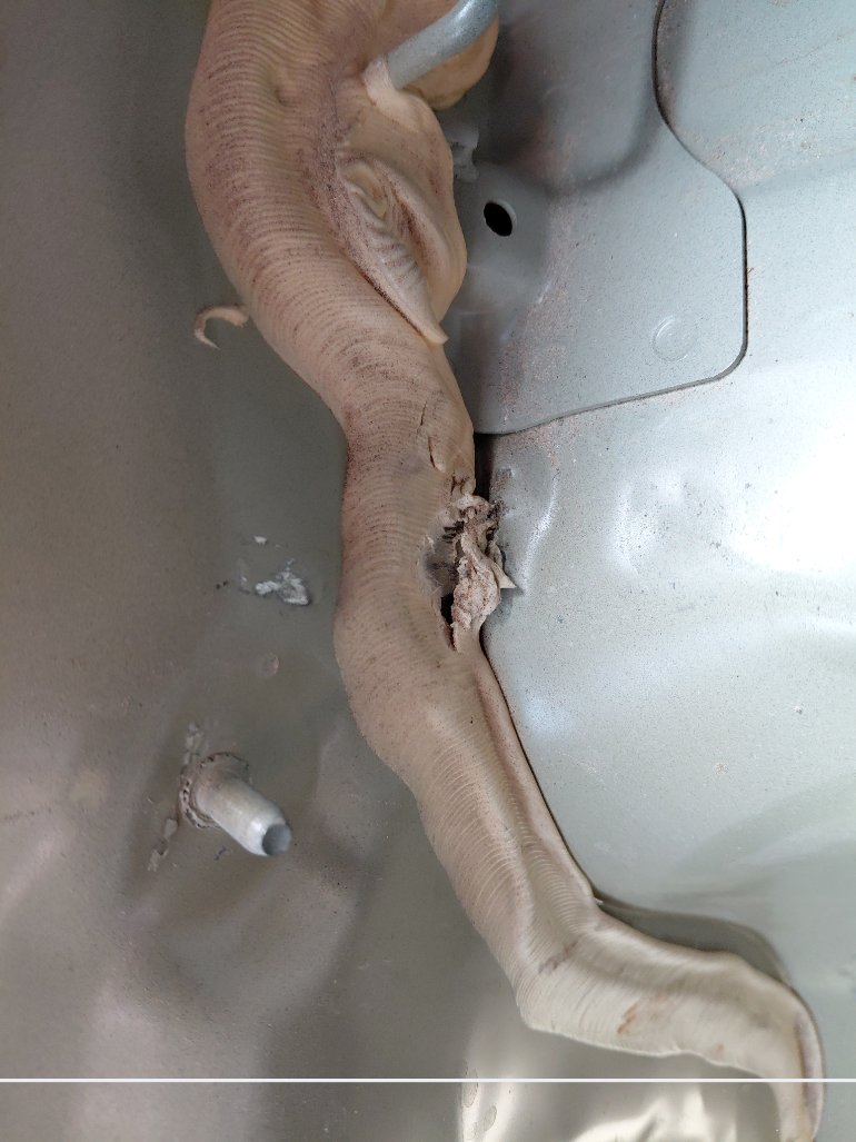 KIA K5 DL3 - LX FWD 2021 image