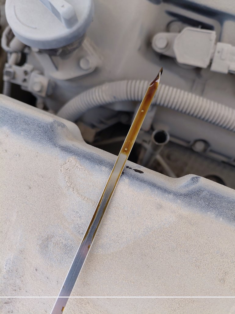 KIA Carnival NEW LX 2014 image