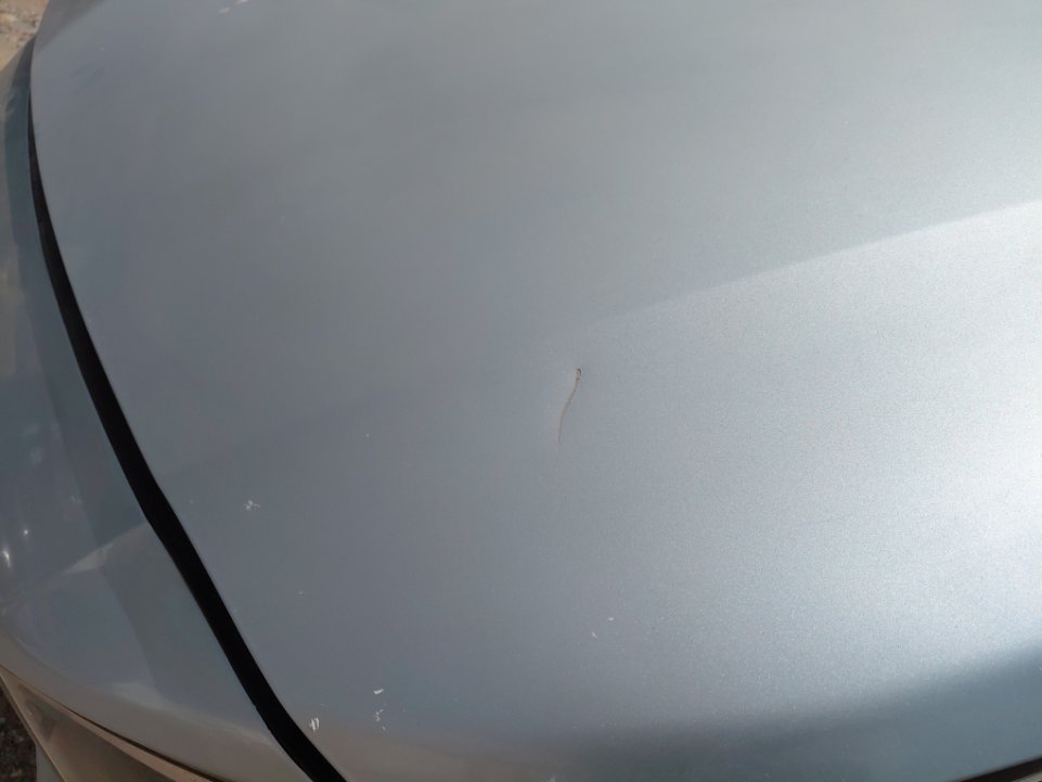 هيونداي أكسنت  2022 image