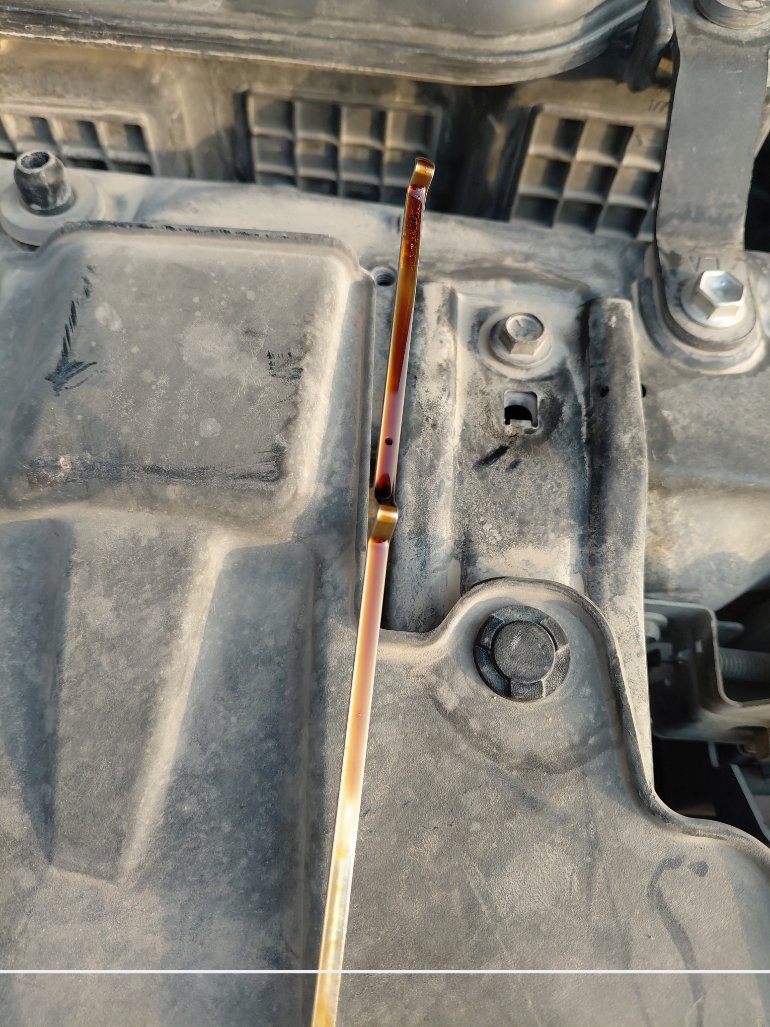 تويوتا راش STD SPORT 2023 image