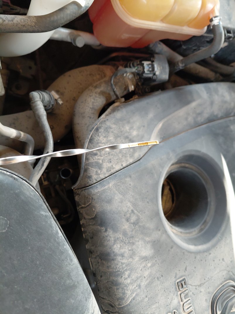 شانجان سي اس 95 ROYAL- Sports 2023 image