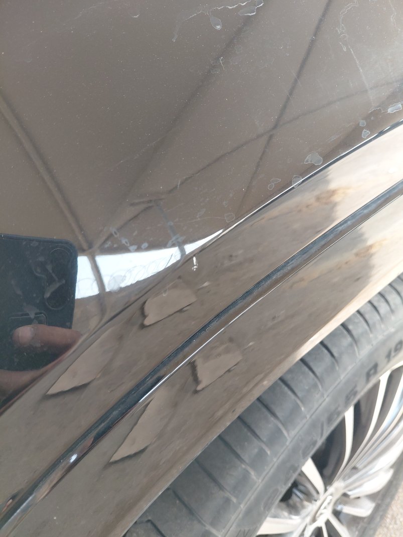 شانجان سي اس 95 ROYAL- Sports 2023 image