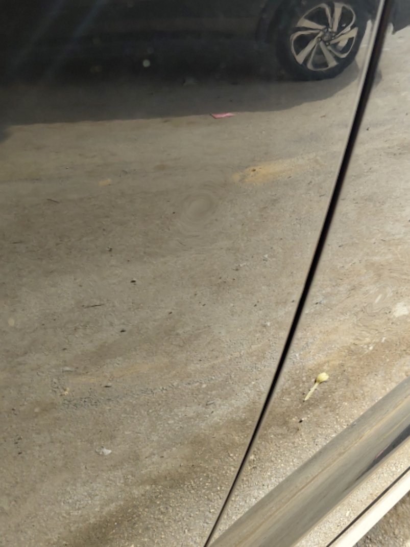 شانجان سي اس 95 ROYAL- Sports 2023 image