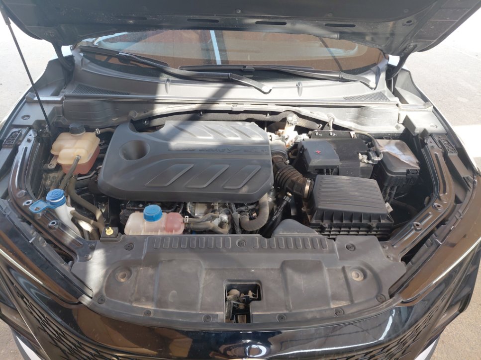 شانجان يوني تي ELITE Sports 2024 image