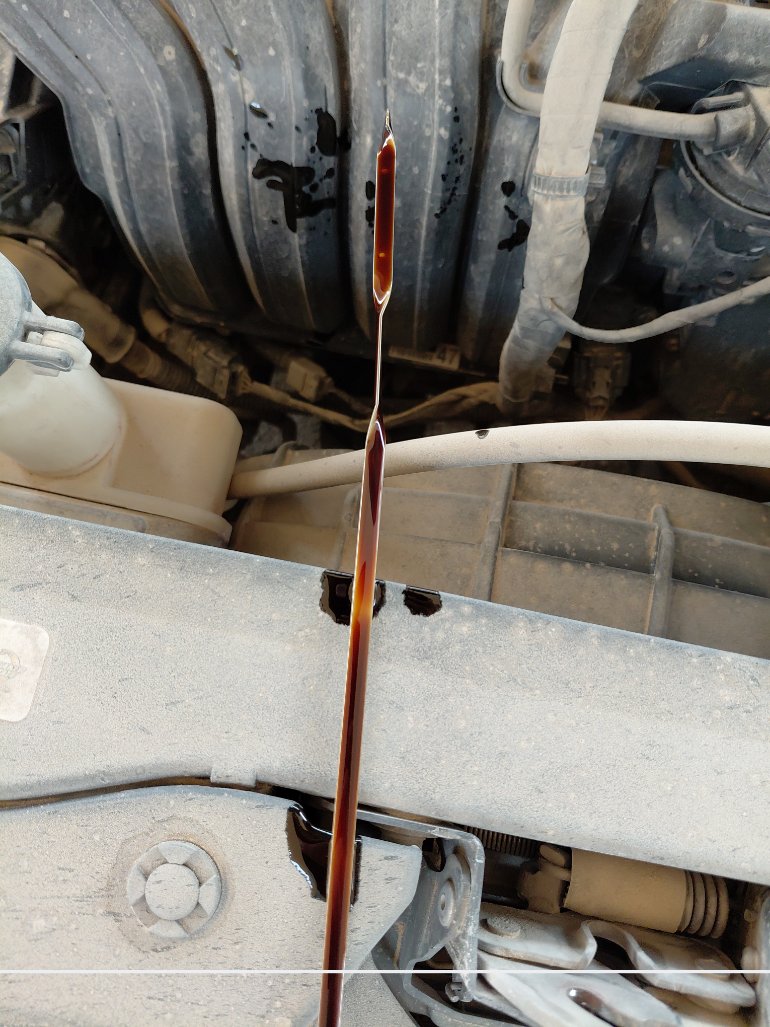 هيونداي إلنترا Fleet 2022 image